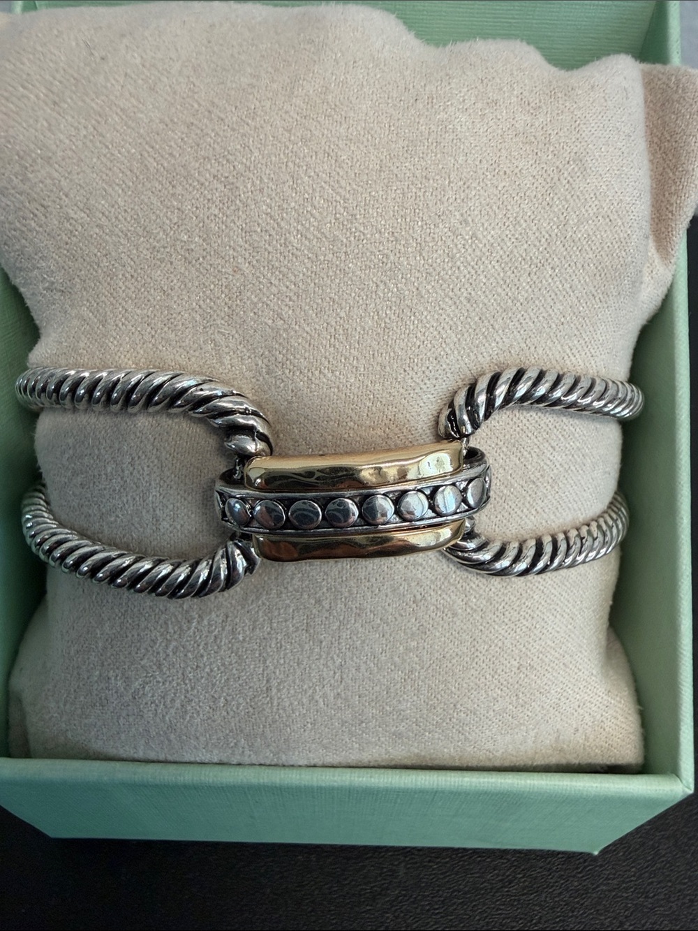 True To Form | Two-Tone Rope-Link Toggle Lock Statement Bracelet ✨ - Picture 8 of 8